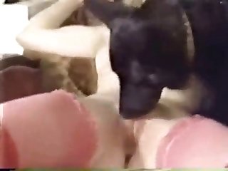 Fuck By Dog Twitter