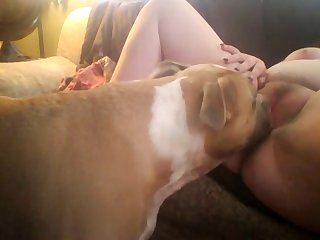 Dog Fuck Asian Girl Before Viewers