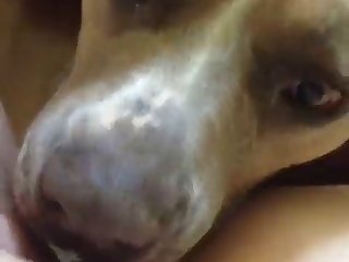 Dog Fuck Gir