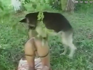 Dog Rape Fuck Girl