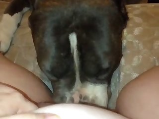 Young Fuck By Dog