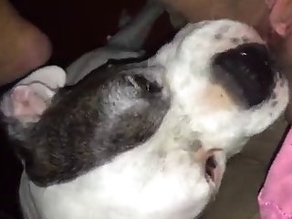 Kihm S First Fuck With Dog