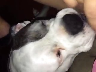 Kihm S First Fuck With Dog