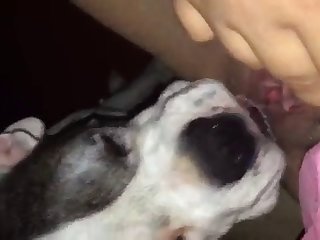 Kihm S First Fuck With Dog