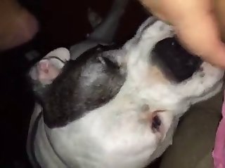 Kihm S First Fuck With Dog