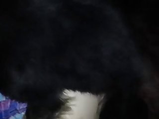 Men Fuck Dog Together