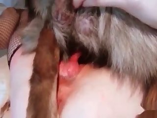 Man And Dog Fuck Pony