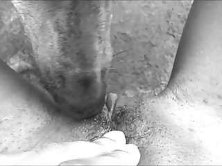 Dog Fuck Woman Nude