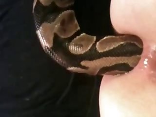 I Want To Fuck Your Dog In The Ass