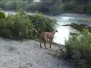 Teen Wants To Fuck Dog