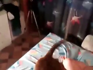 Amateur Dog Fuck Compilation 2021 Pt. 5