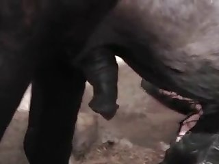 Indian Guy Fuck Dog