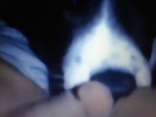 Dog Fuck Woman Amateur