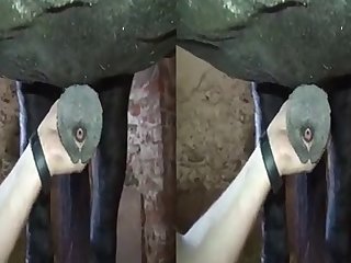 Skirby Dog Video Fuck