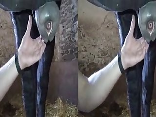 Skirby Dog Video Fuck