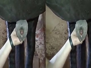 Skirby Dog Video Fuck