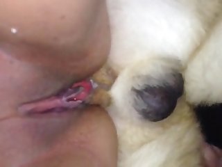 Xxx Dog Fuck Mom