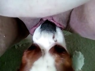 Gril Fuck Dog