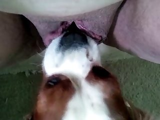 Gril Fuck Dog