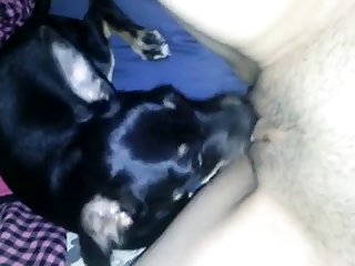 Mature Dog Fuck Porn