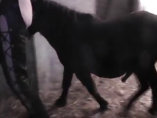Japanese Fuck By Dog