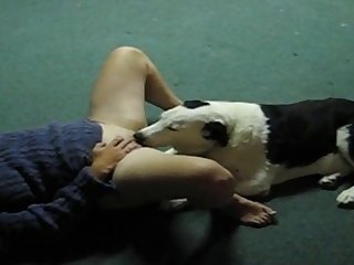 Dog Fuck Knot Girl