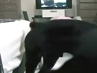 Fuck Dog Amateur