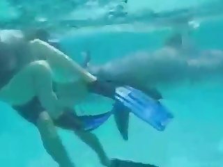 Amazing Dog Fuck