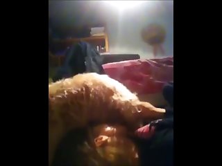 Dog Want Fuck Girl
