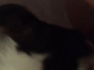 Wife Husband And Dog Fuck