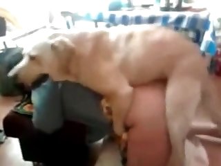 Fuck Big Dog Pussy