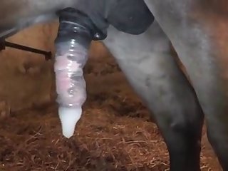 Women Fuck Hard By Dog