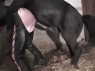 Brother Helps Sister Fuck The Dog