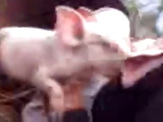 Woman Fuck Dog Video