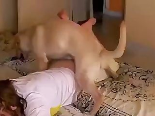 Dog Fuck Mouth Girl