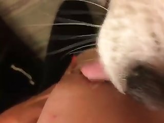 Fuck Girl After Dog