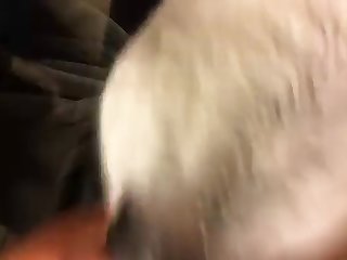 Fuck Girl After Dog
