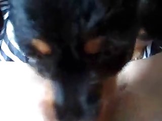 Jessie Dog Fuck