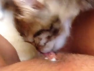 Gay Couple Dog Fuck