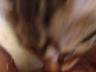Gay Couple Dog Fuck