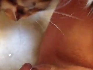 Gay Couple Dog Fuck