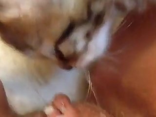 Gay Couple Dog Fuck