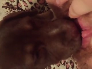Porn Dog Fuck Me