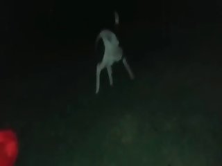 Amateur Girl Fuck Her Dog