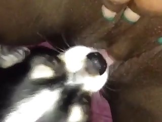Dog Fuck Teen Snapchat