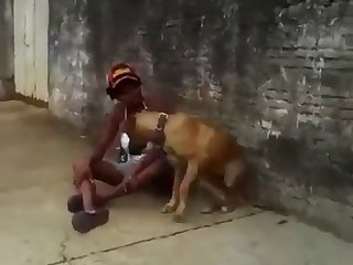 How To Say Fuck You In Dog