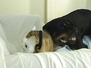 Zoofilia Sexo Estremo