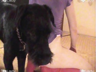 Zoofilia Hombres Con Perras