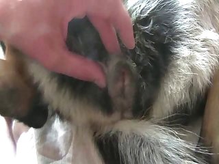 Slutty Girl Gagged And Obstructed Thus Arduous She Began To Cry.