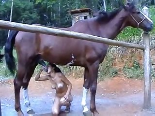 Horse And Boy Xxx